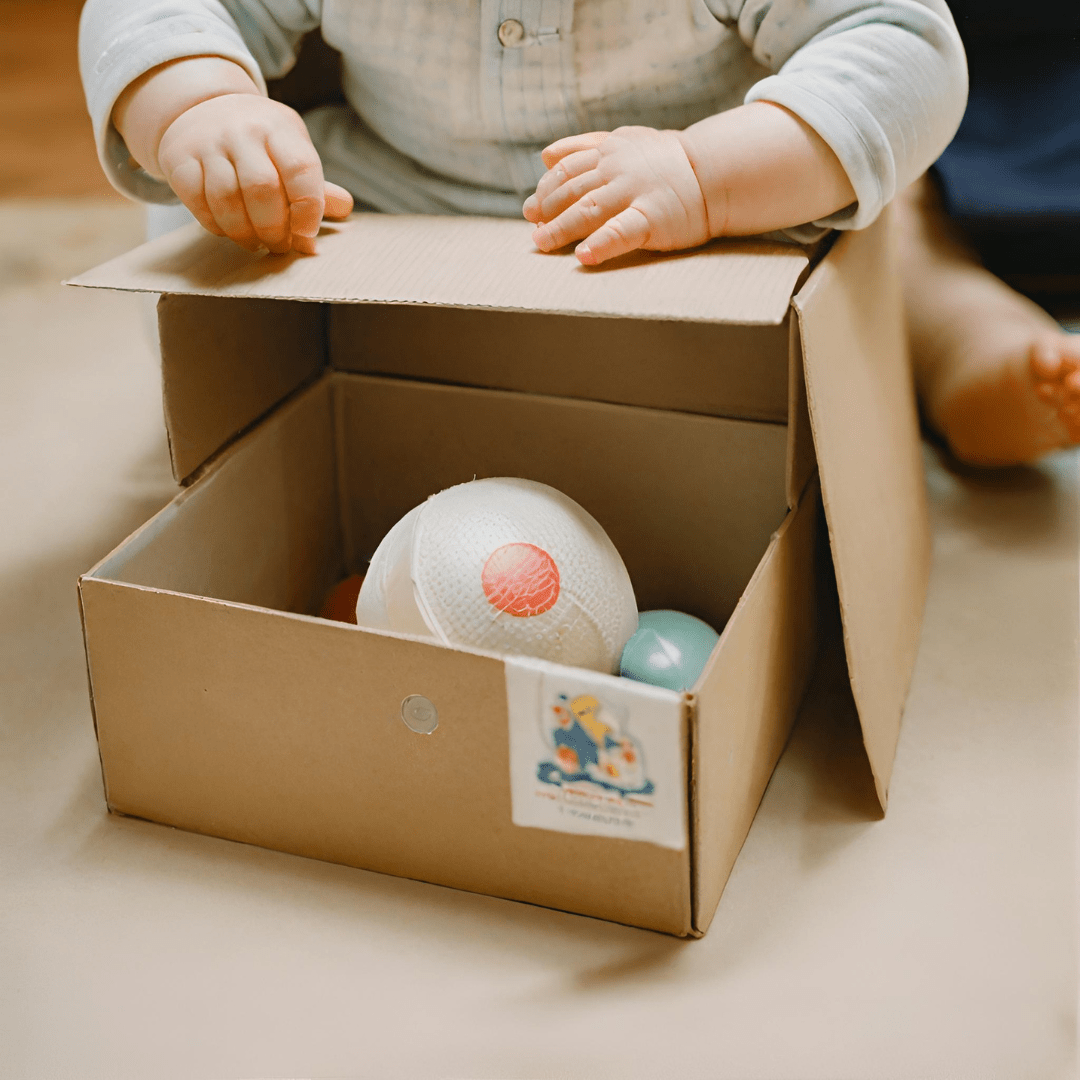 Understanding Object Permanence