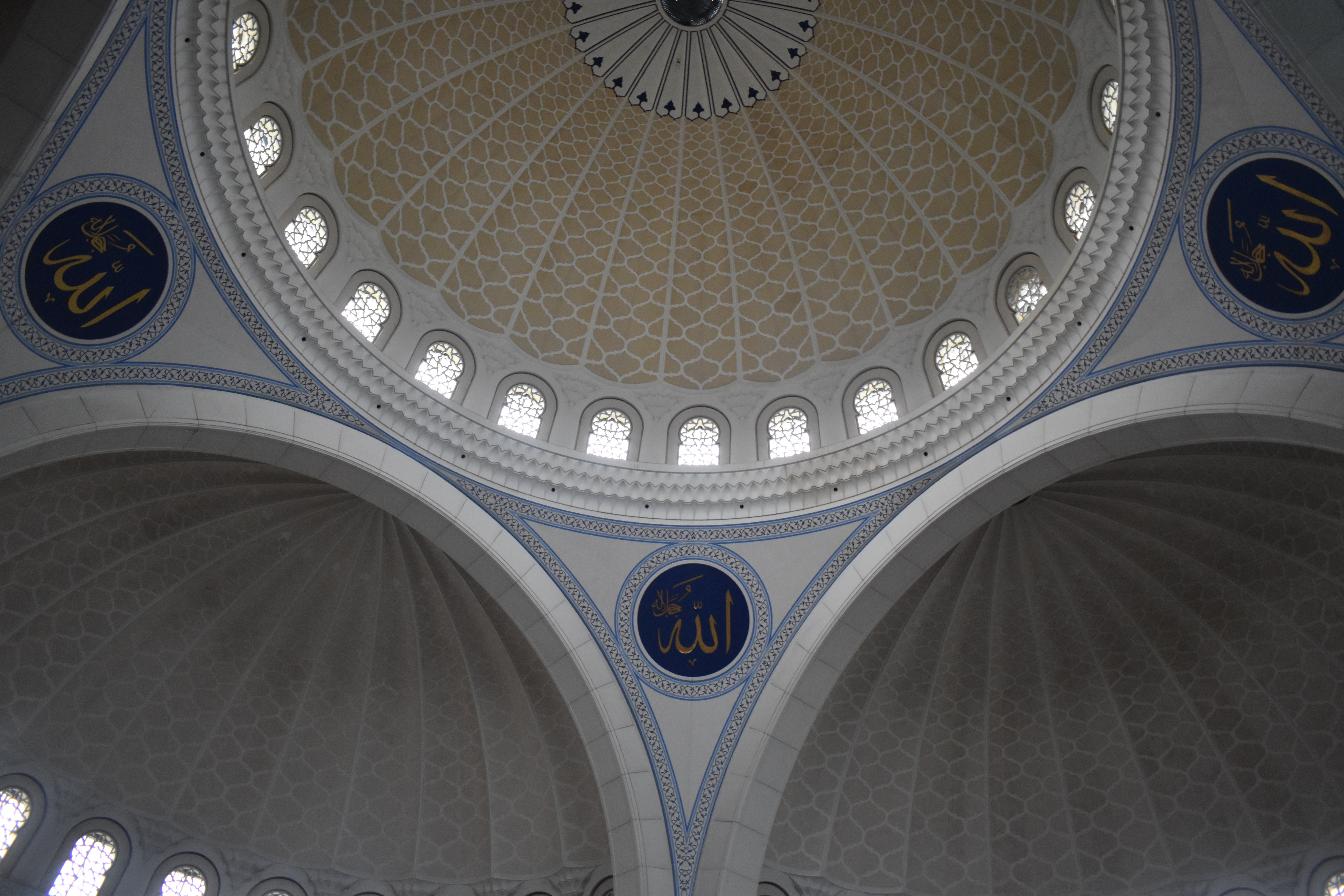 NIC_0196