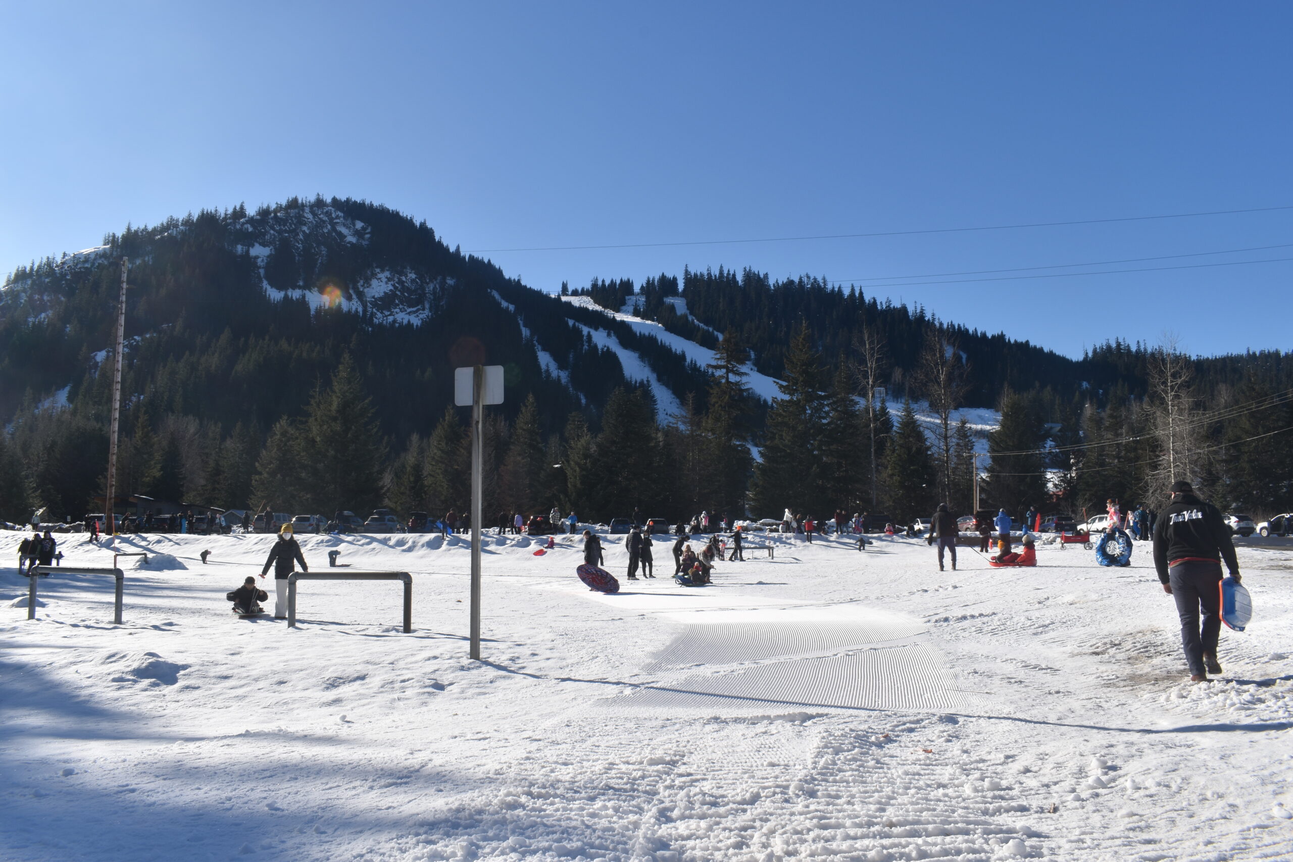 NIC_0591